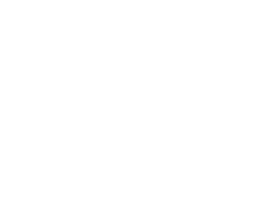 パニーニ
